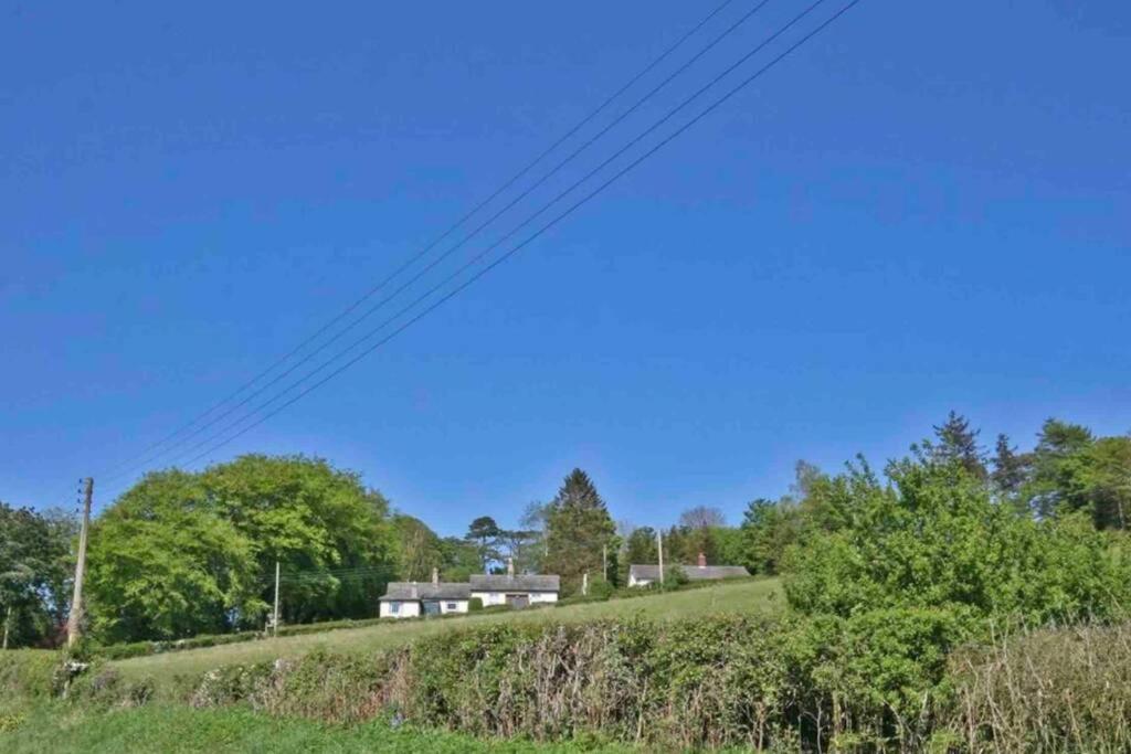 Hilltop Cottage Thropton ภายนอก รูปภาพ